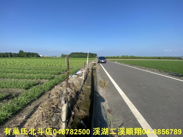 埤頭農地-6