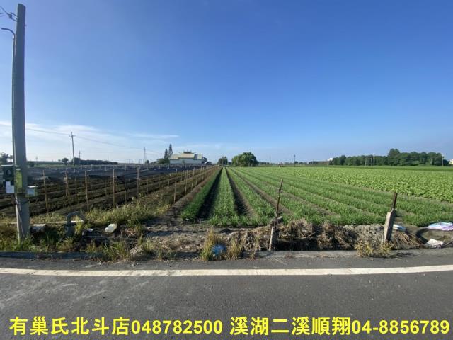 埤頭農地-7