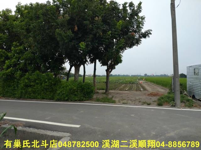 二林農地-3