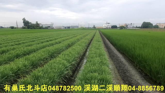 彰化埤頭農地-1