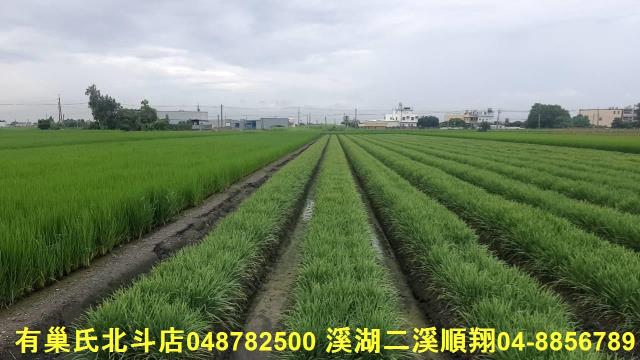 彰化埤頭農地-4
