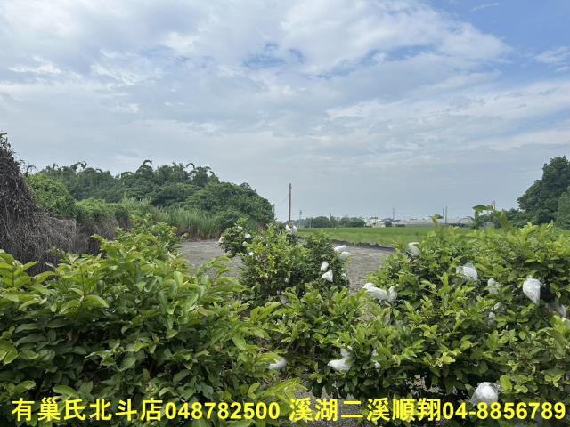 彰化溪湖農地-0