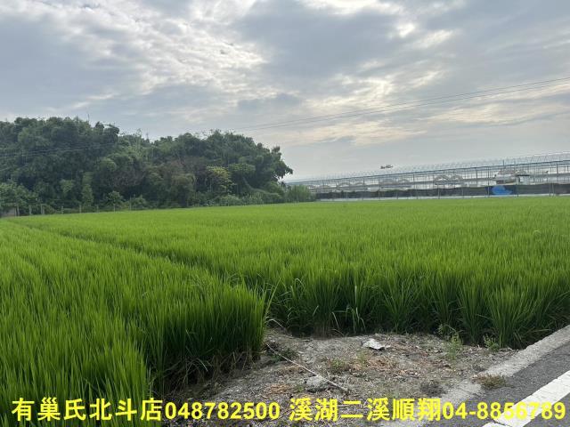 彰化溪湖農地-6