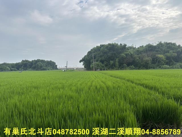 彰化溪湖農地-7
