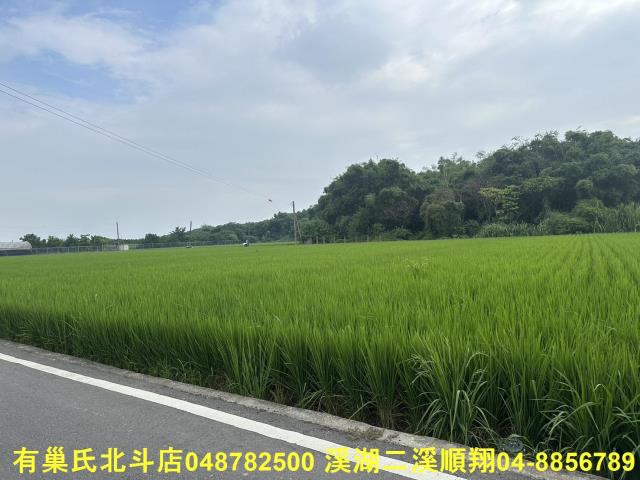 彰化溪湖農地-8