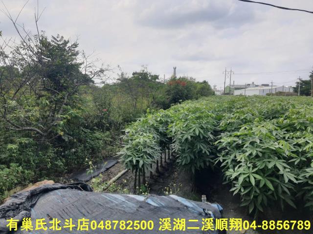 彰化北斗農地-2