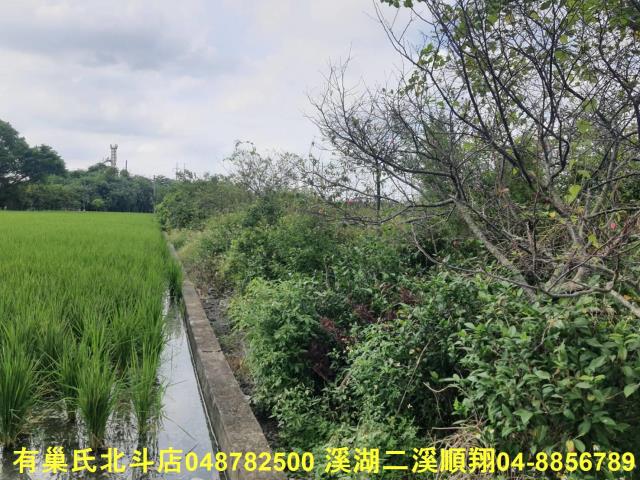 彰化北斗農地-4