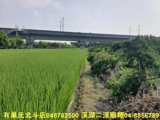 彰化溪州農地-1