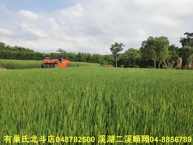 彰化溪州農地-2