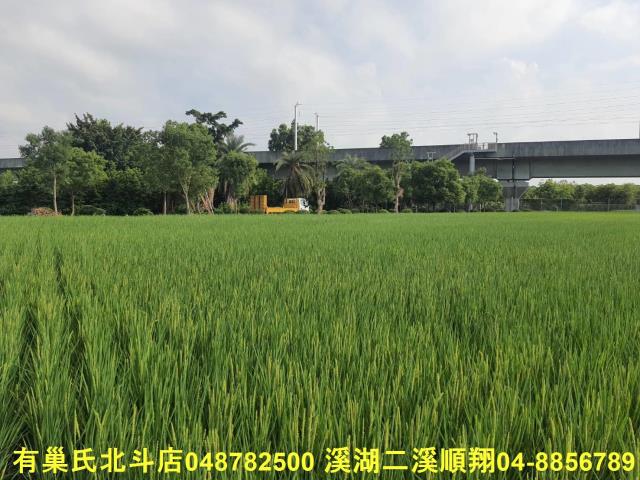 彰化溪州農地-3