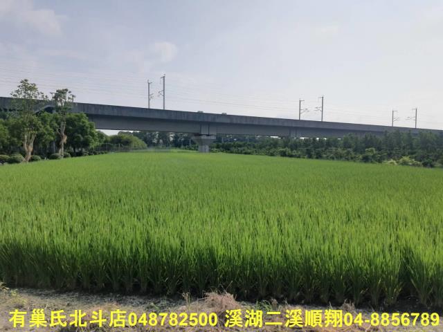 彰化溪州農地-6