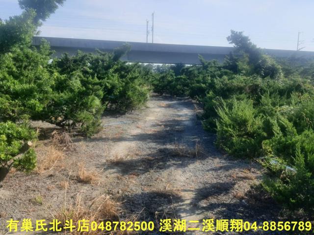 彰化溪州農地-1