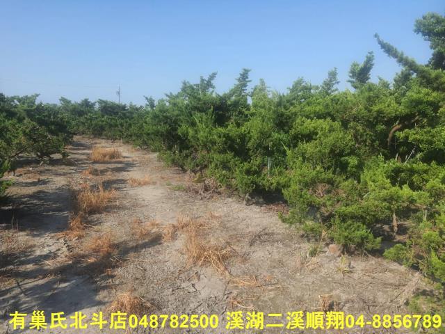彰化溪州農地-3