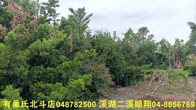 田尾農地-9