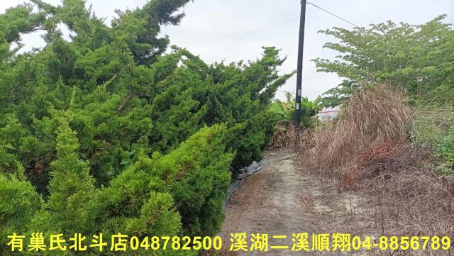 田尾農地-0