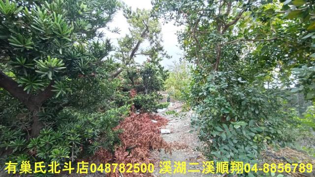 田尾農地-3