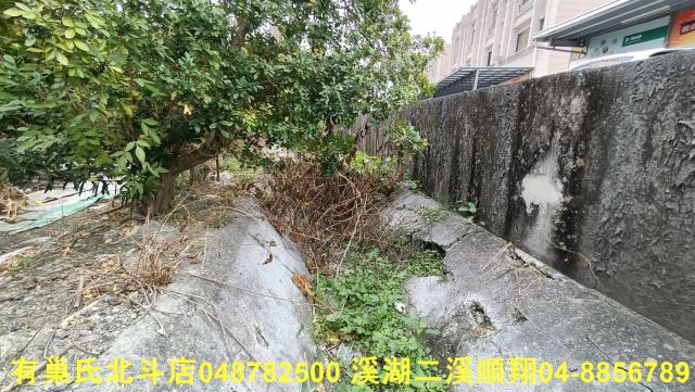 田尾農地-4