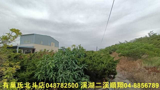 田尾農地-7
