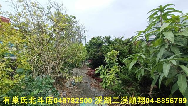 田尾農地-8