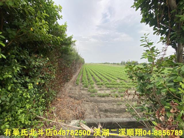 大城農地-2