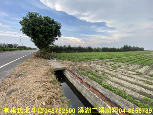 大城農地-3