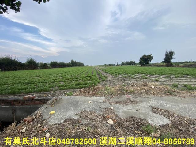 大城農地-5