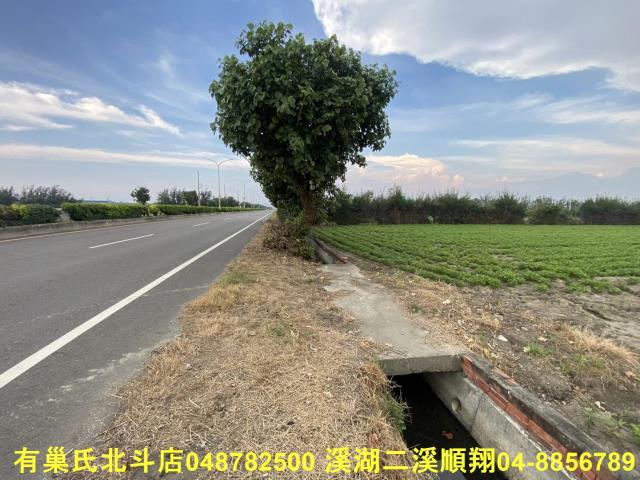 大城農地-6