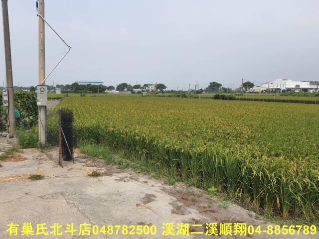 埤頭農地-0