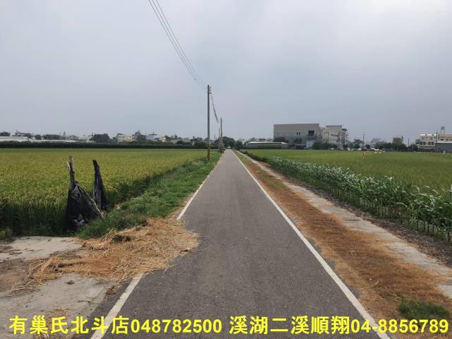 埤頭農地-2