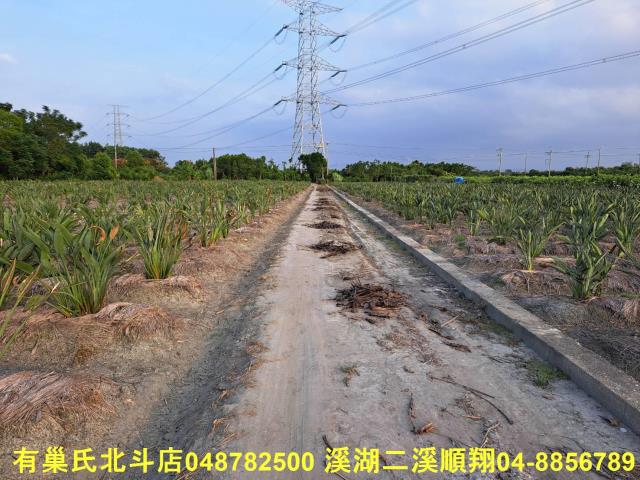 彰化農地-10
