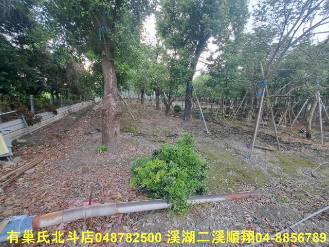 田尾農地-6