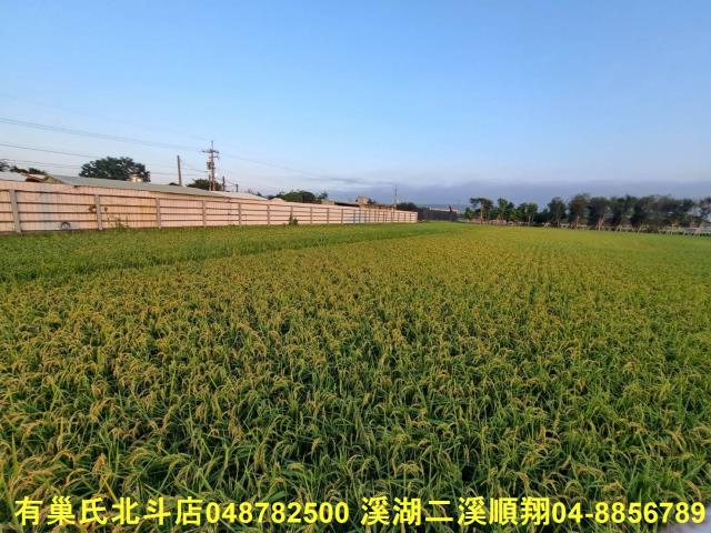 彰化田尾農地-8