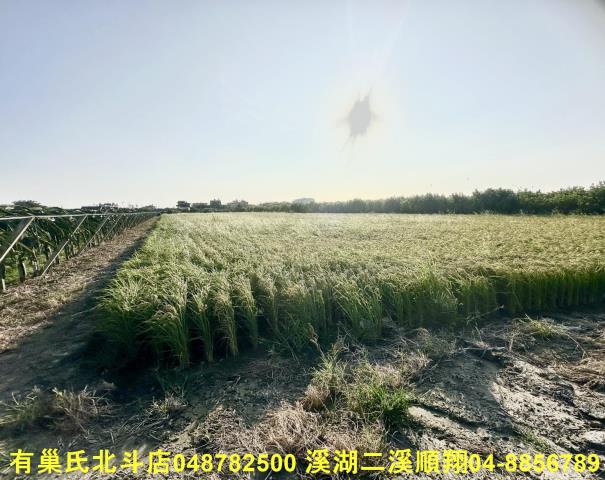 彰化二林農地-2