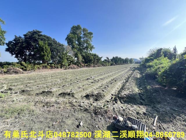 彰化溪州農地-0