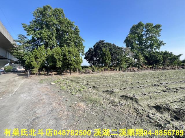 彰化溪州農地-1