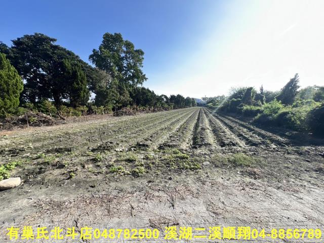 彰化溪州農地-3