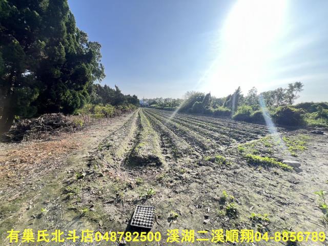 彰化溪州農地-6