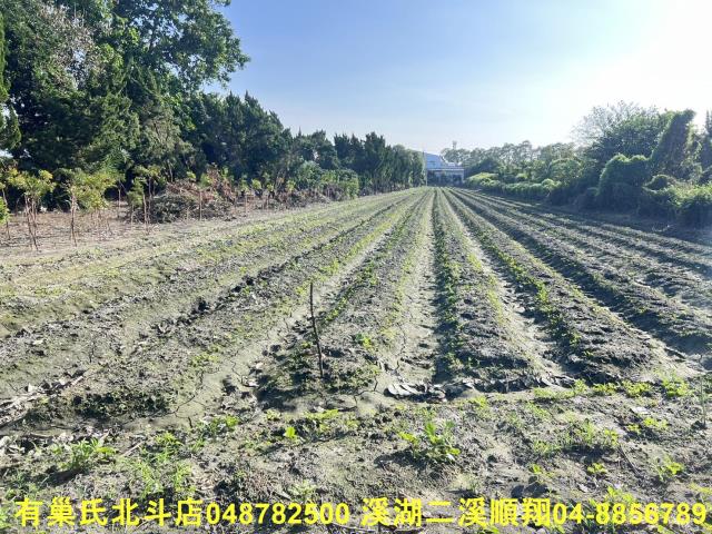 彰化溪州農地-7