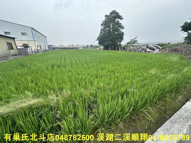 溪湖農地-1