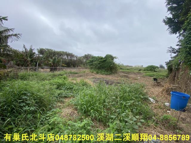 芳苑農地-3