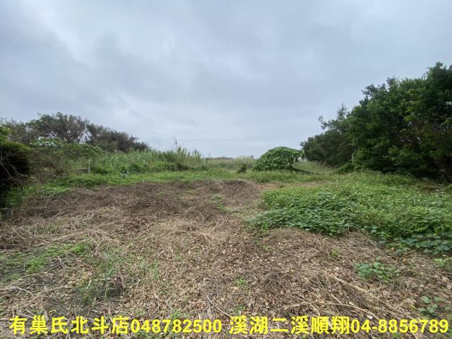 芳苑農地-6