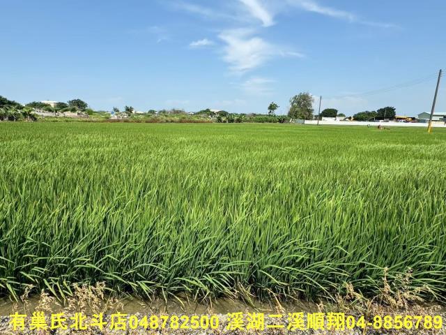 福興農地-2