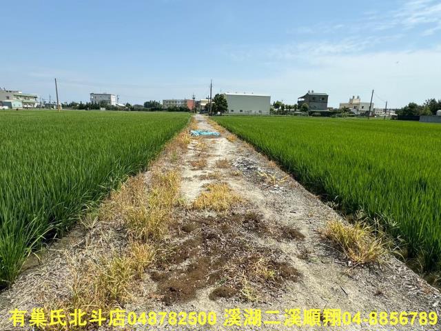 福興農地-6