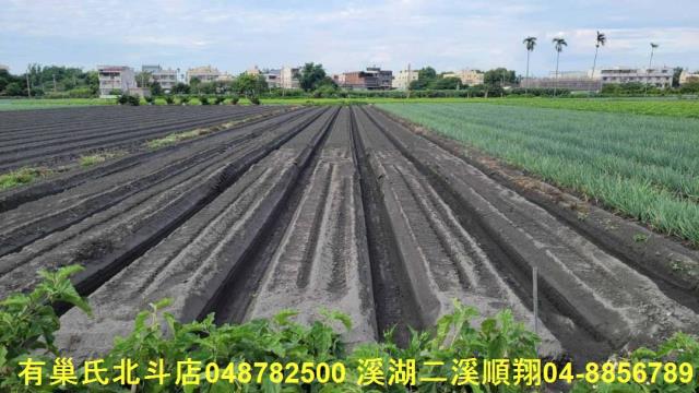 溪湖農地-5