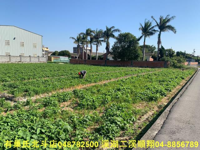 彰化福興農地-7