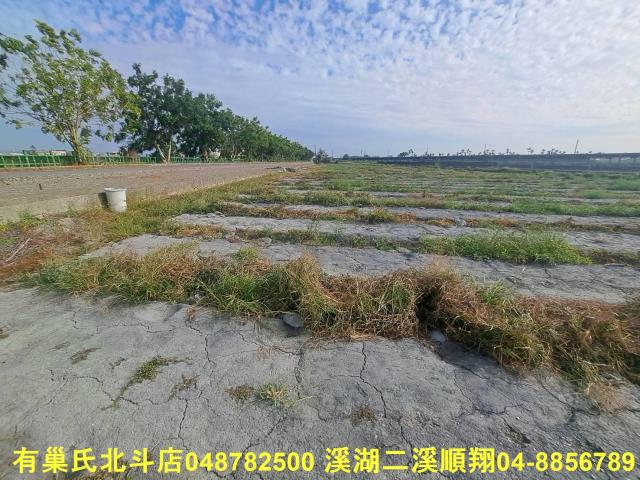 彰化溪州農地-0