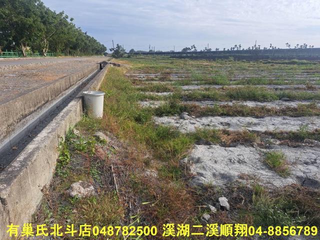 彰化溪州農地-1