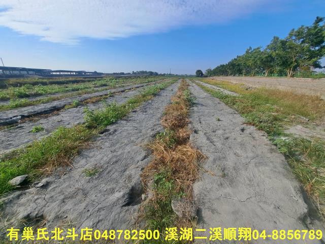彰化溪州農地-2