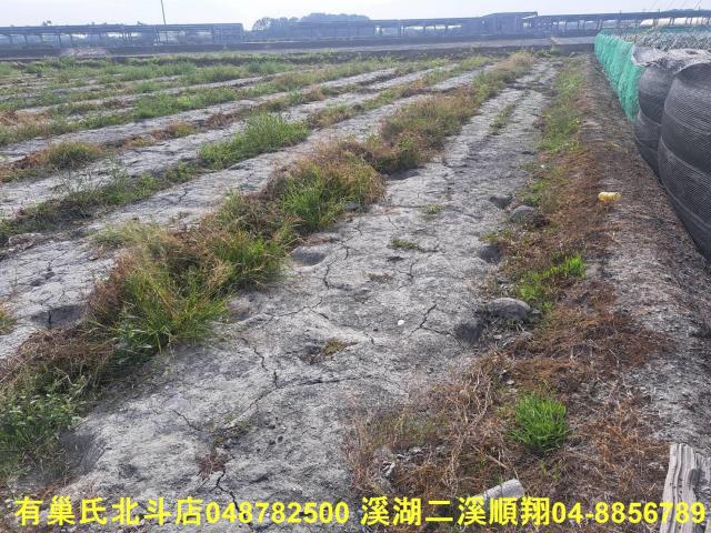 彰化溪州農地-4