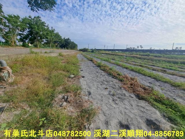 彰化溪州農地-5